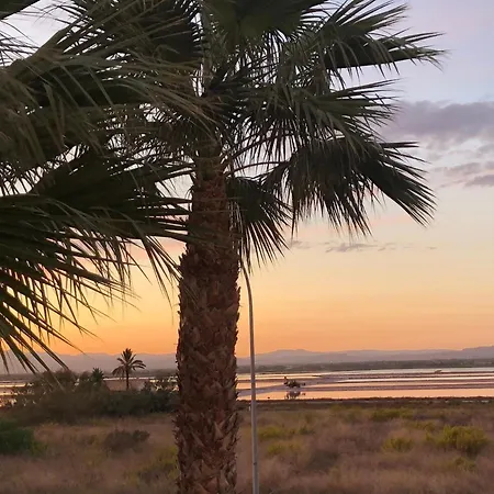 Lovely Sunset Santa Pola